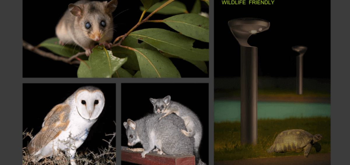 Why are Lights with Lower Colour Temperature better for Wildlife? | Vizona